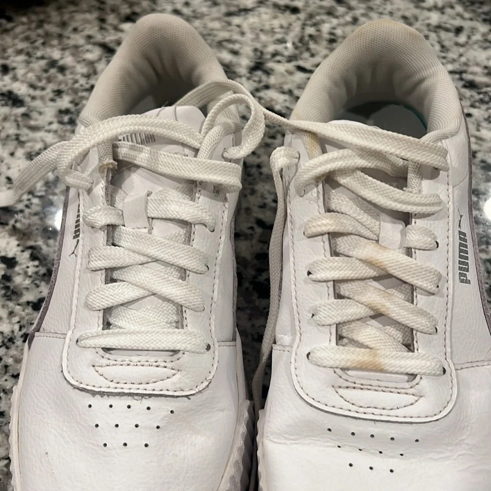 Puma carina street